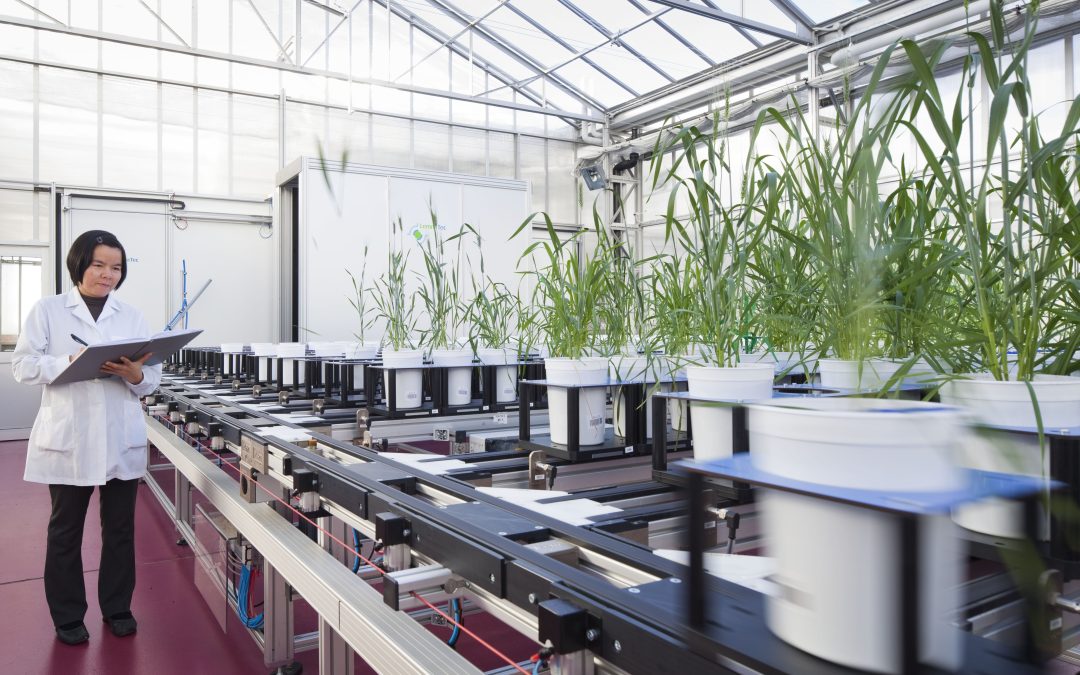 Plant Accelerator – Waite Campus