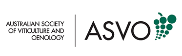 ASVO-logo-OFFICIAL-sm