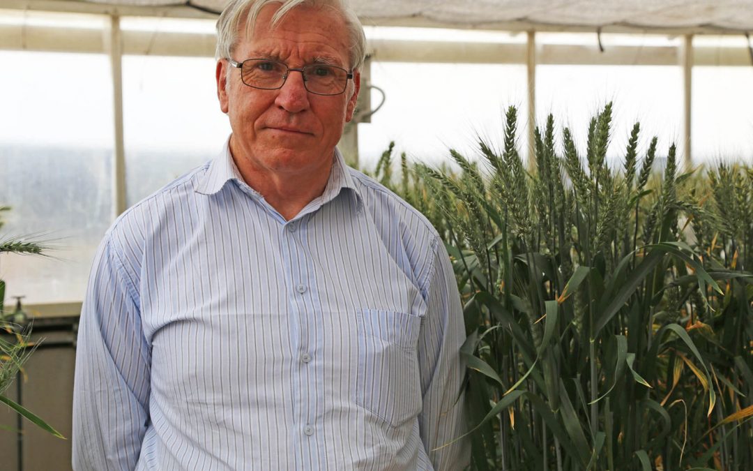 The University of Adelaide uses FluroSense to teach the new generation of agronomists
