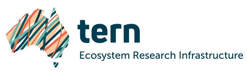 TERN-print-Logo-Landscape RGB